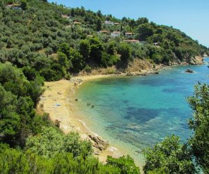 חוף אגיה אלני